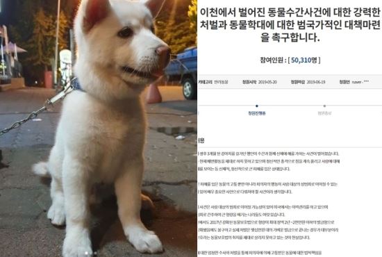 배변 못하고 침 흘리는 강아지” 이천 수간 국민청원 근황-국민일보