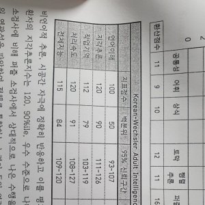 저같은 분도있나요 - 웩슬러 마이너 갤러리