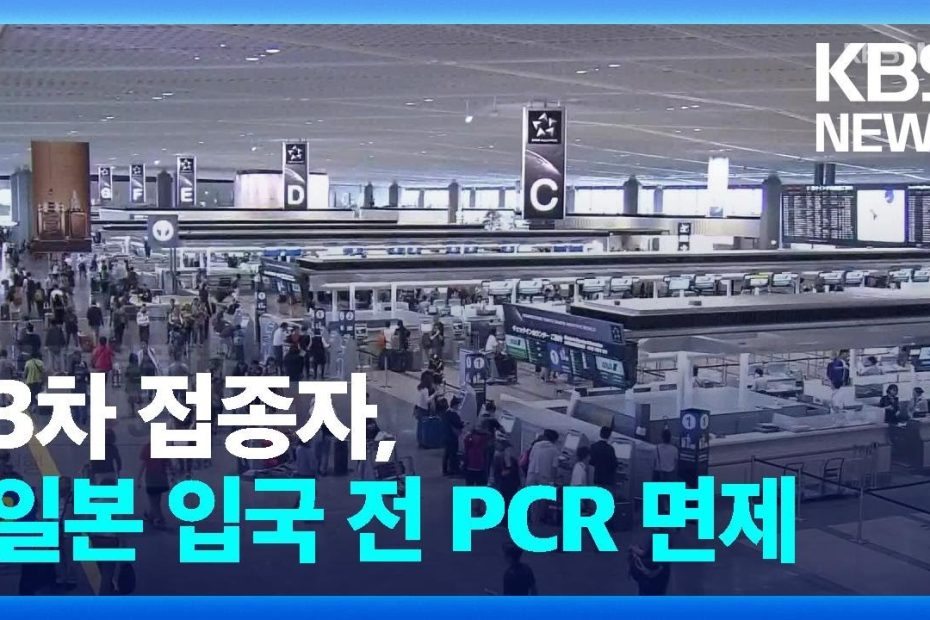 일본 입국 전 Pcr 검사 면제…Oecd 회원국 중 한국만 남아 / Kbs 2022.08.25. - Youtube