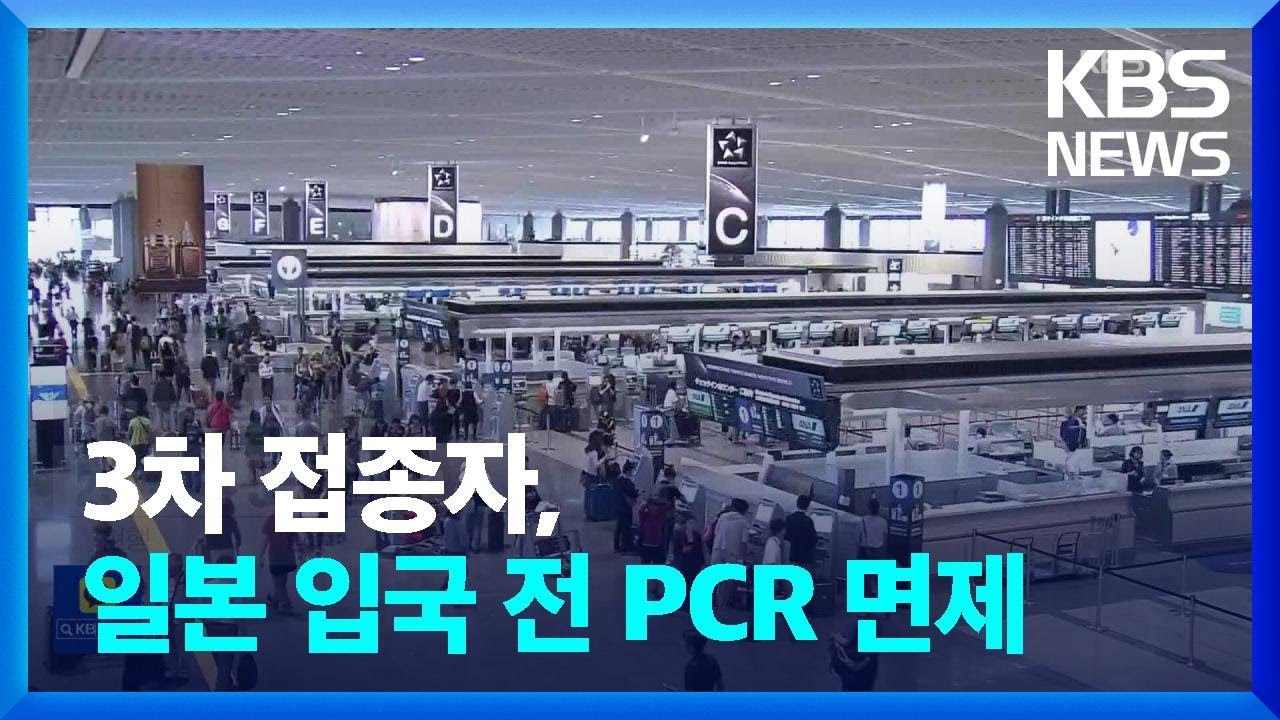 일본 입국 전 Pcr 검사 면제…Oecd 회원국 중 한국만 남아 / Kbs 2022.08.25. - Youtube