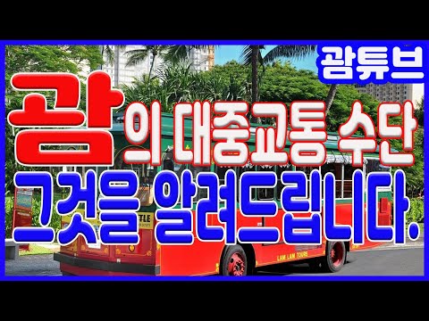 [괌/GUAM] 괌에서 이용할 수 있는 대중교통 수단에 대해서 이야기 해보았습니다.