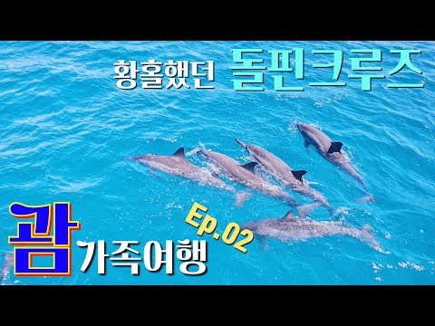 🇺🇸괌조아 닷컴 돌핀크루즈 핵존잼🐬ㅣ괌 가족여행 Ep.02ㅣ도스버거, 티 갤러리아 백화점, 아웃백, 스노쿨링