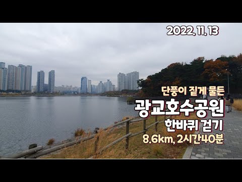 단풍 짙게 물든 광교호수공원 한바퀴 걷기. 8.6km, 2시간 40분 walking (2022.11.13)