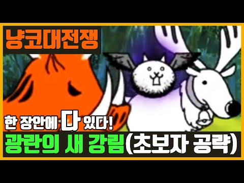 【냥코 대전쟁】광란의 새 강림 / 까마귀 눈 초고난도(초보자 공략)