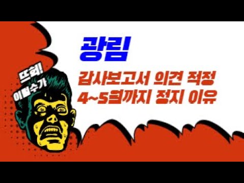 [공시 분석] 광림 주식 - 감사보고서 의견