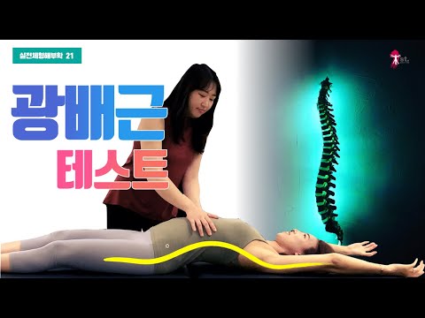 광배근(등넓은근) 길이 테스트 4가지 패턴 (실전체형해부학 21)