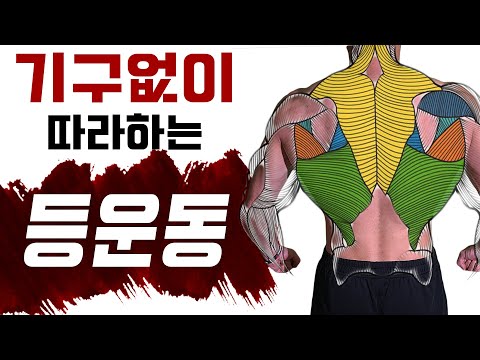 턱걸이기구❌ 운동도구 '없이' 따라하는 등운동 BEST 4 홈트레이닝