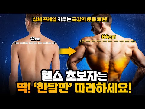 헬스초보자가 '이 순서'대로 운동하면, 무조건 프레임 넓어집니다!  (헬린이 등 운동 루틴/광배근 운동/종류/순서)