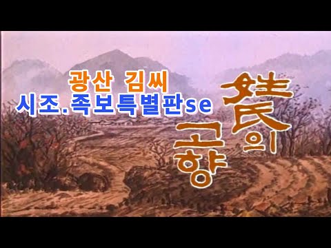 광산 김씨 시조와 족보 특별판 se