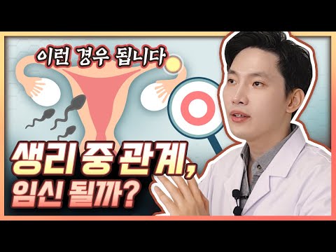 생리 중 그거하면, 임신될까? 의사가 상황별로 정.확.히 알려드립니다. [의학채널/근알의]