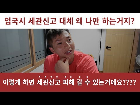 입국시 세관신고하면 호구에요? 어떻게 다들 세금안내고 그냥 들어가요?