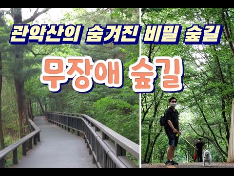 서울 관악산에 이렇게 아름다운 숲길이 있다고? - 무장애숲길에 다녀왔어요