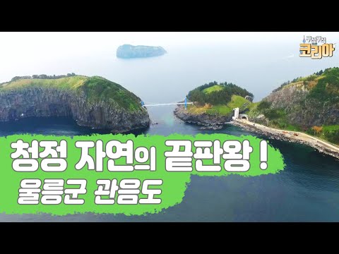 청정 자연의 끝판왕! 울릉군 관음도!! / YTN 라이프