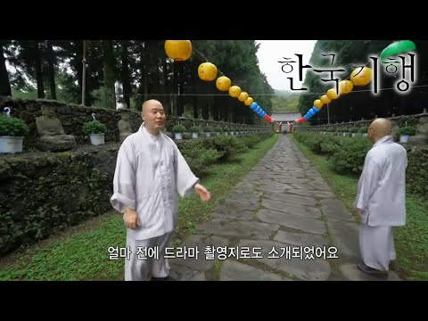 한국기행 - Korea travel_가을 사찰 기행 1부- 관음사로 혼저옵서예_#001