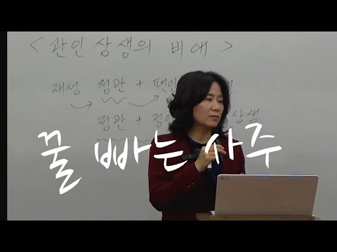 꿀 빠는 사주, 꿀은 그냥 나오나! (자막을 켜고 보세요)