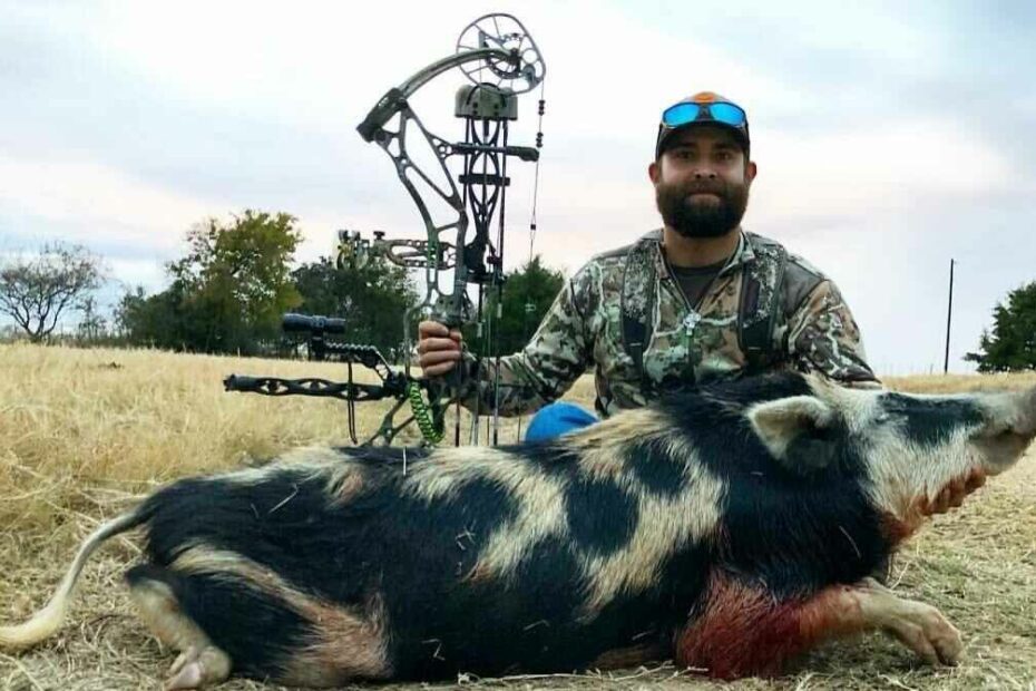 1 Day Hog Hunt / Texas, United States - Bookyourhunt.Com