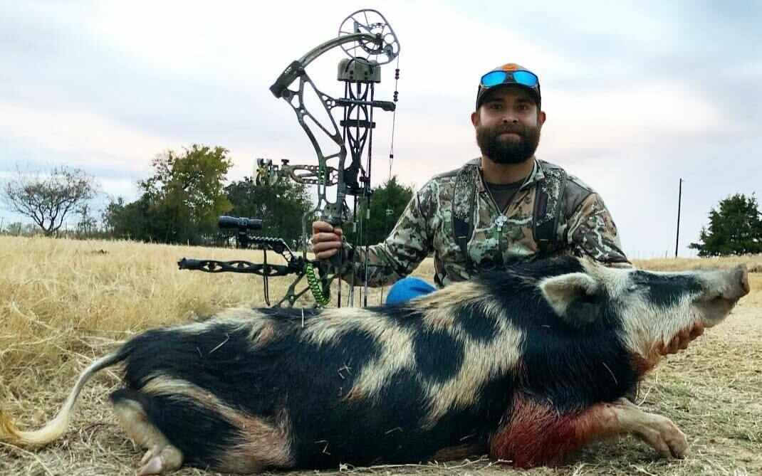 1 Day Hog Hunt / Texas, United States - Bookyourhunt.Com