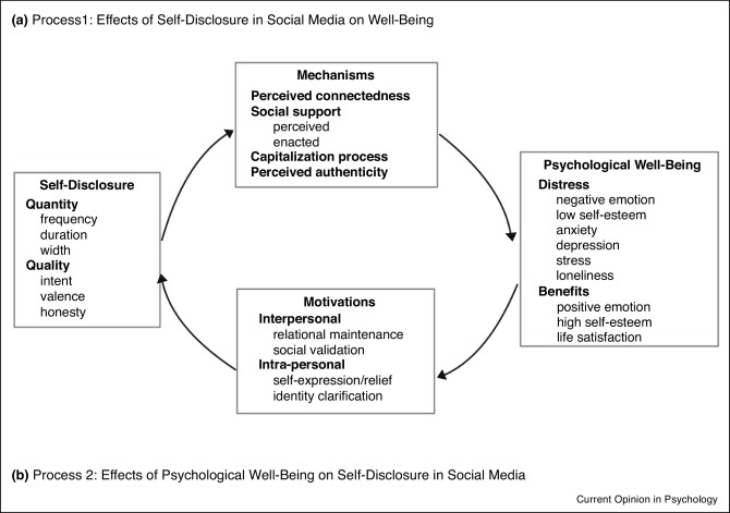 Self-Disclosure And Social Media: Motivations, Mechanisms And Psychological  Well-Being - Sciencedirect