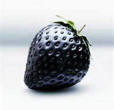 No Such Thing As Black Strawberries! - Laidback Gardener