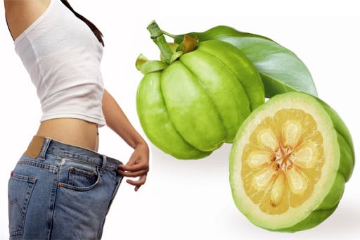 What Is Garcinia Cambogia And Its Effects On Health? | Vinmec