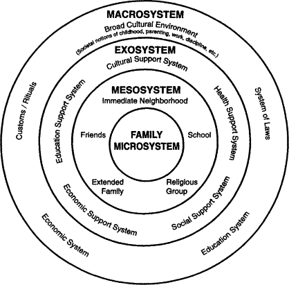 Macrosystem - An Overview | Sciencedirect Topics