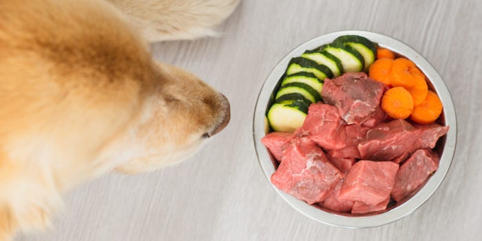 The Harmful Effects Of Feeding Your Dog A Raw Food Diet