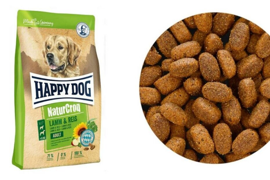 13 Best Dog Food Brands In Malaysia (Dry, Wet, Canned & Raw Dog Food)