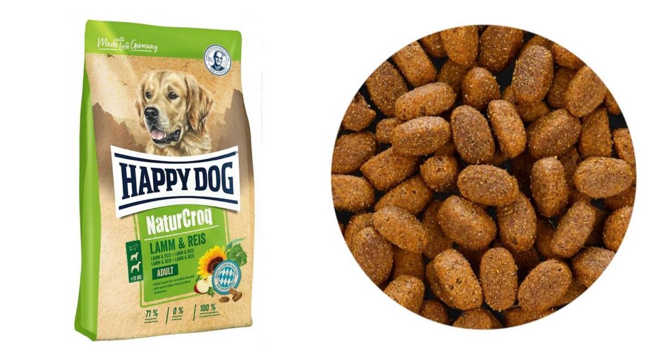 13 Best Dog Food Brands In Malaysia (Dry, Wet, Canned & Raw Dog Food)