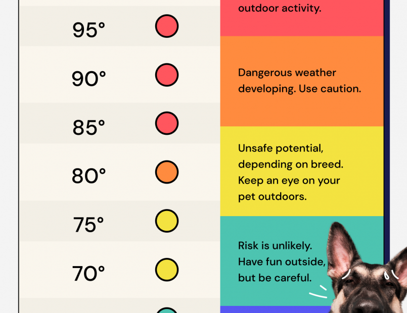 How Hot Is Too Hot For Dogs?