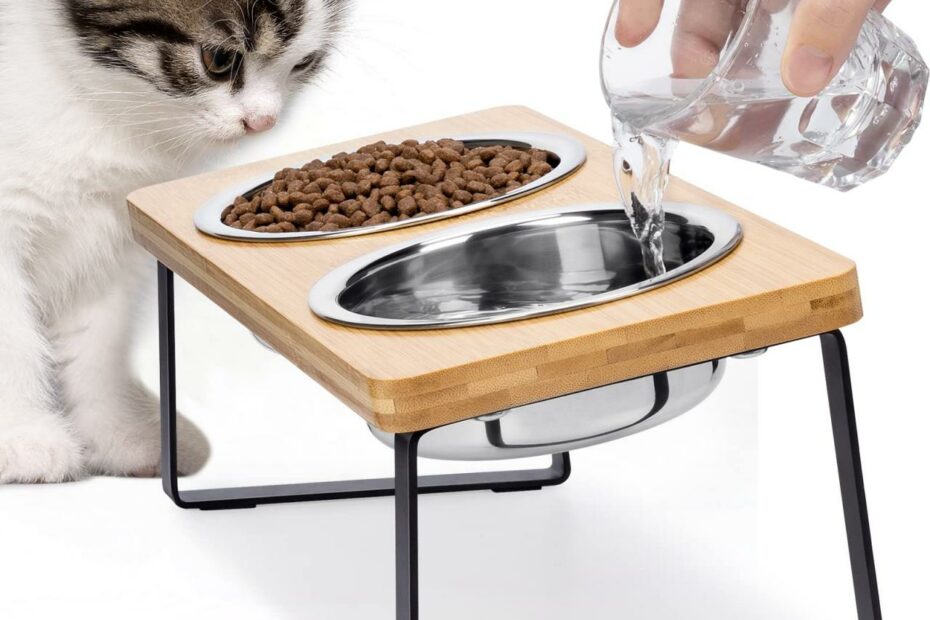 Amazon.Com: Elevated Cat Bowls For Food And Water - Loplurea 15° Tilted  Raised Stainless Steel Cat Food Bowl With Bamboo Stand And Anti Vomit  Feeding Station For Indoor Cats And Pet :