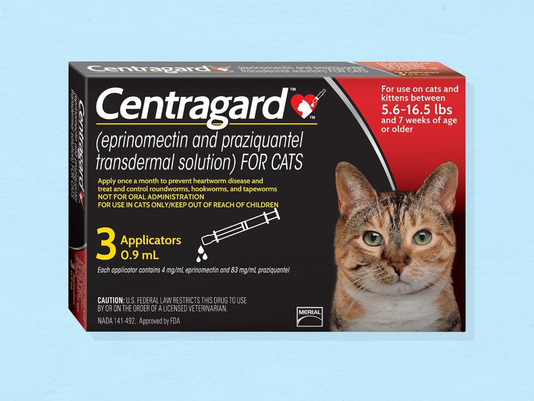 The 6 Best Cat Dewormers