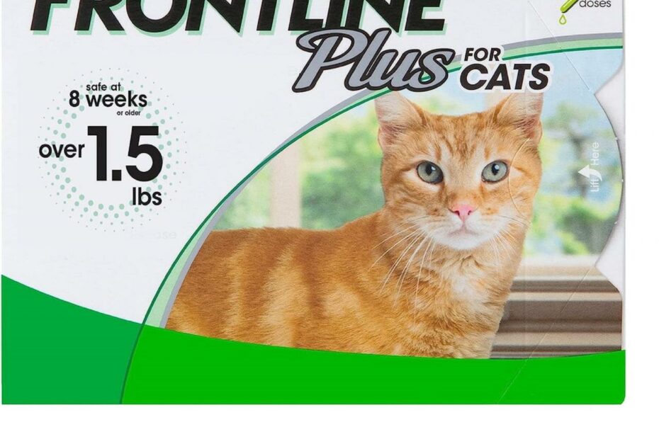 Amazon.Com : Frontline Plus For Cats And Kittens Flea And Tick Treatment, 6  Doses : Pet Flea Drops : Pet Supplies