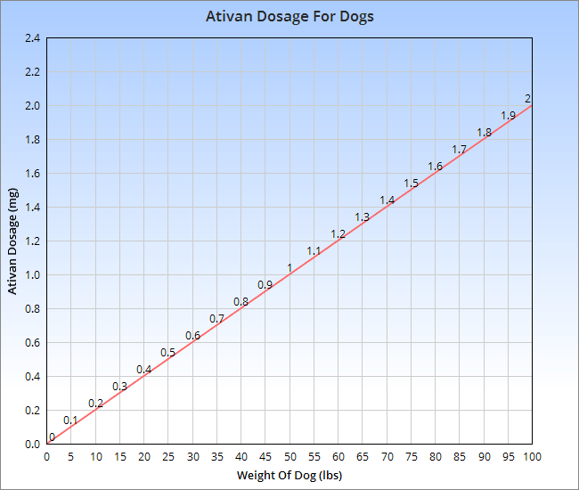 Ativan For Dogs | Veterinary Place