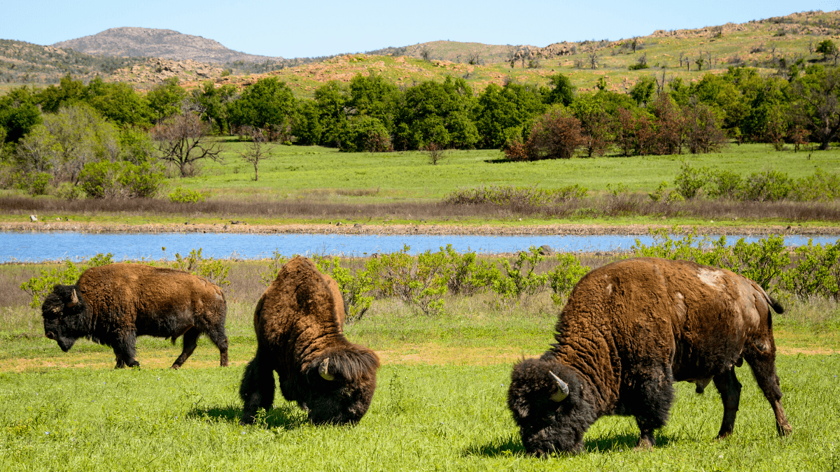 Best National Parks In Oklahoma - For Her About Her By Her