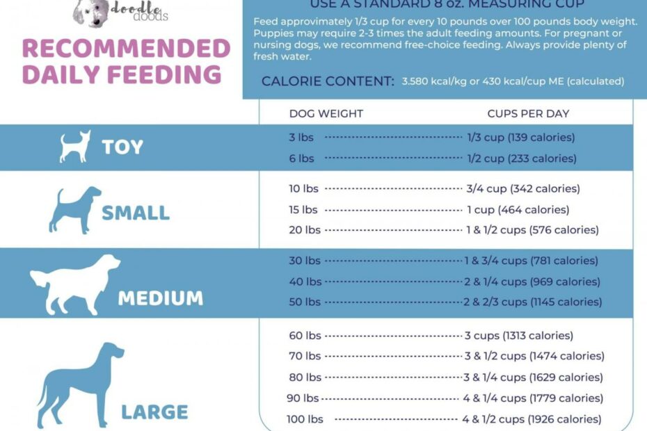 How Much Should I Feed My Dog? Calculator And Feeding Guidelines