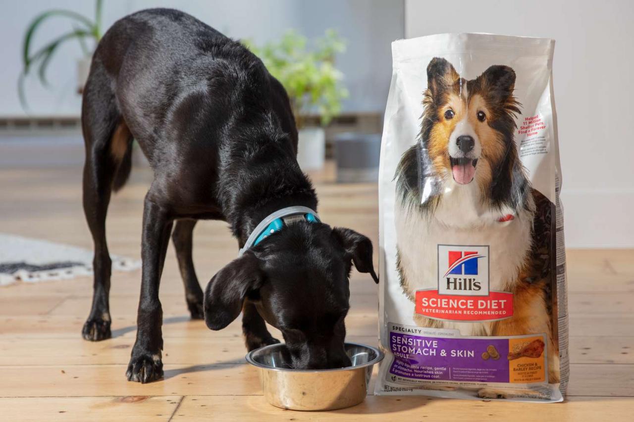 The 9 Best Dog Foods For Sensitive Stomachs Of 2023