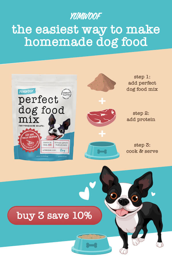 Can I Feed My Dog Chicken Everyday? - We Asked A Vet & Nutritionist –  Yumwoof Natural Pet Food