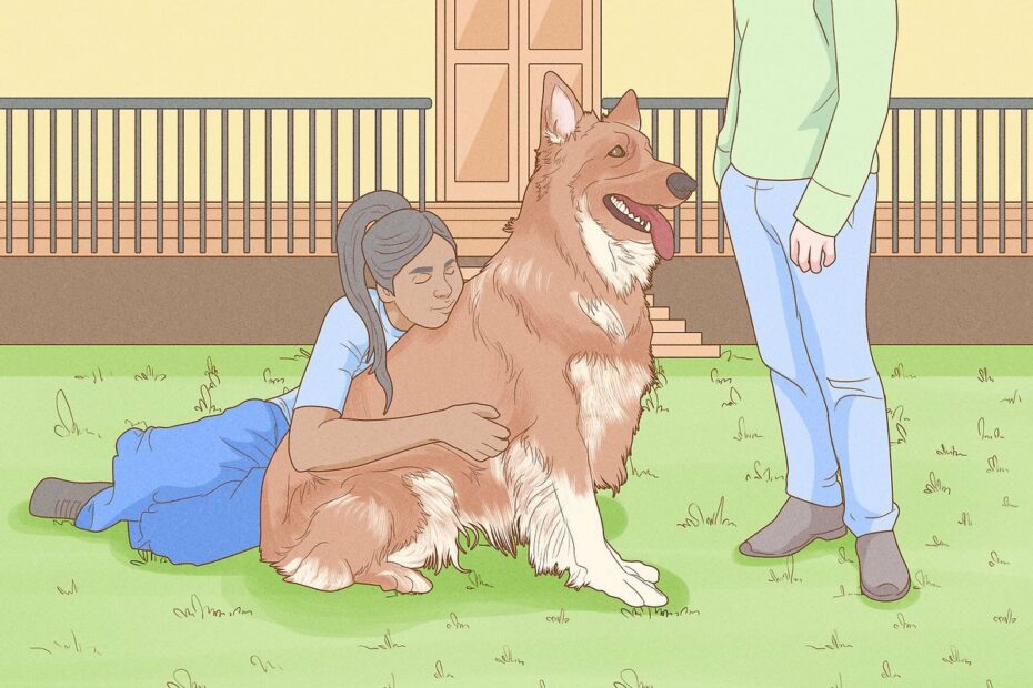 Simple Ways To Sell A Dog (With Pictures) - Wikihow