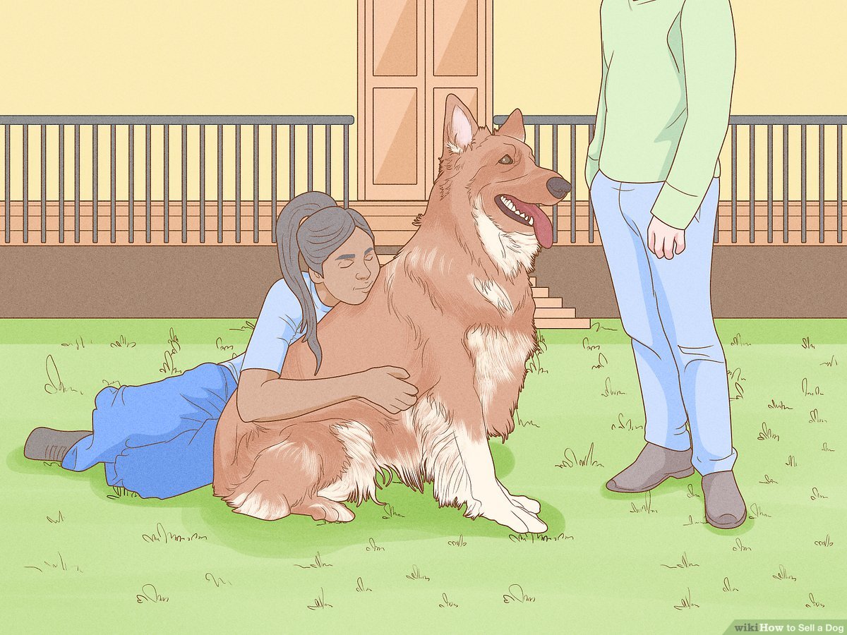 Simple Ways To Sell A Dog (With Pictures) - Wikihow