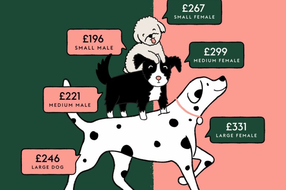 How Much Does It Cost To Neuter A Dog? | Manypets