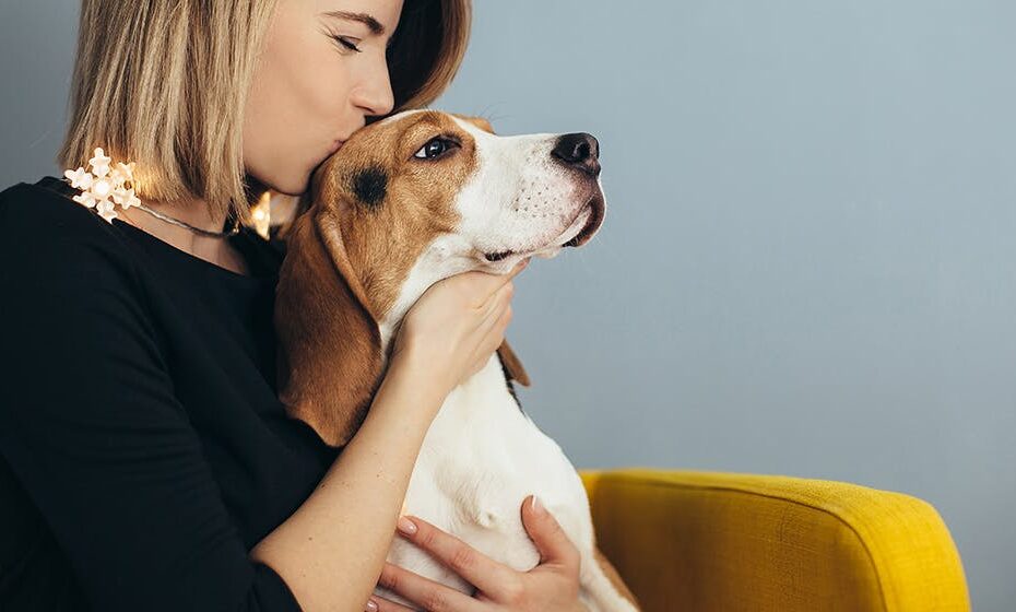 Can Dogs Feel When You Kiss Them? - Wag!