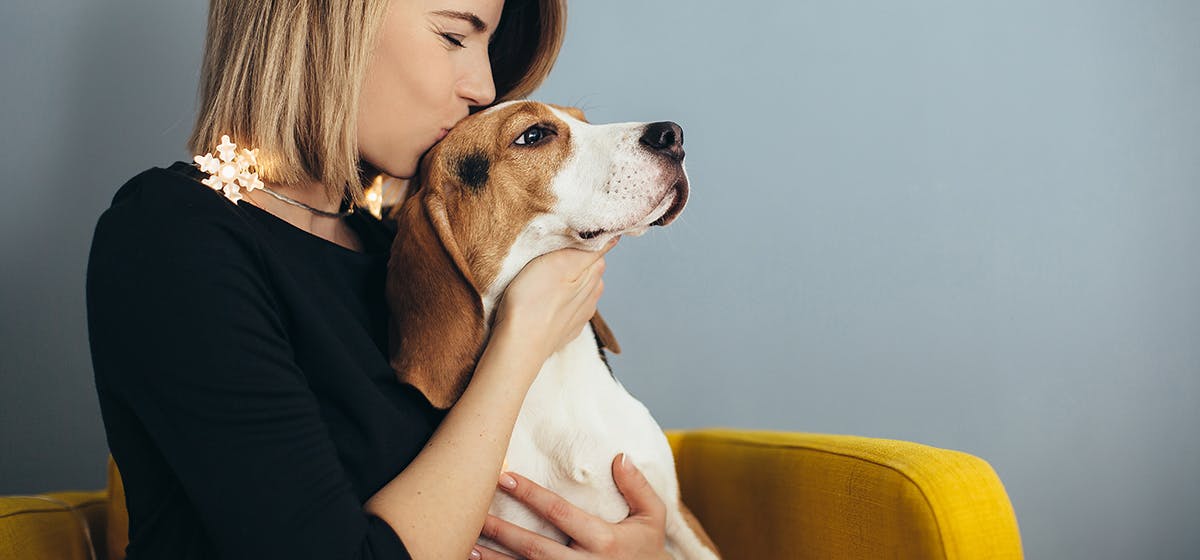 Can Dogs Feel When You Kiss Them? - Wag!