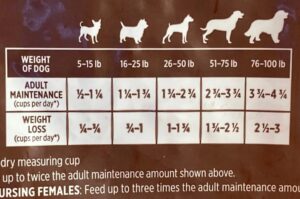 How Much Food To Feed A Dog - Whole Dog Journal