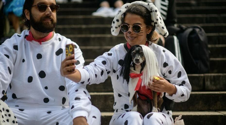 24 Best Matching Dog And Owner Halloween Costume Ideas For 2022