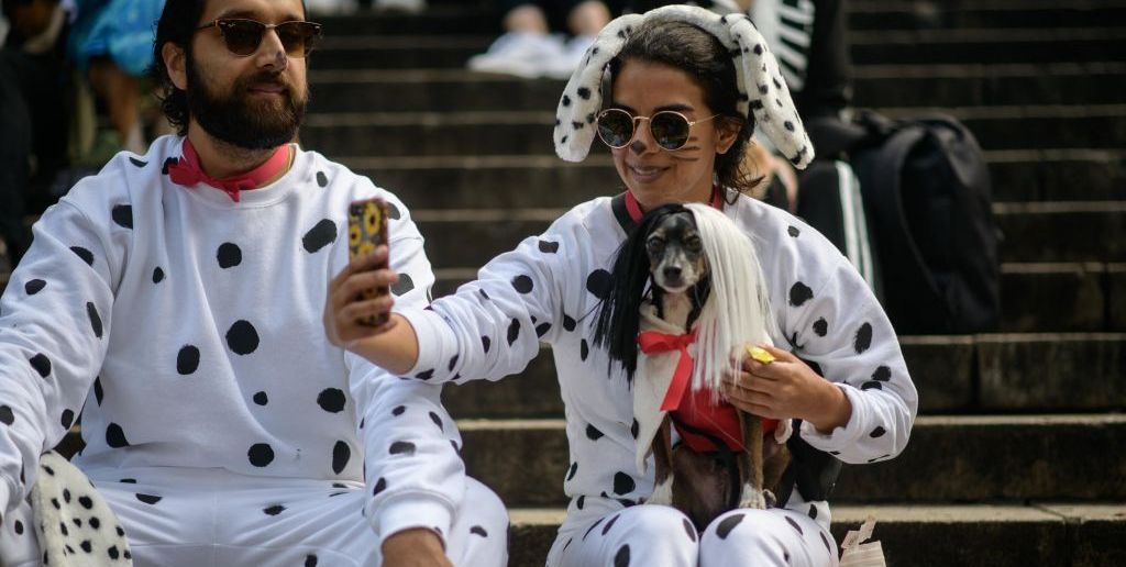 24 Best Matching Dog And Owner Halloween Costume Ideas For 2022