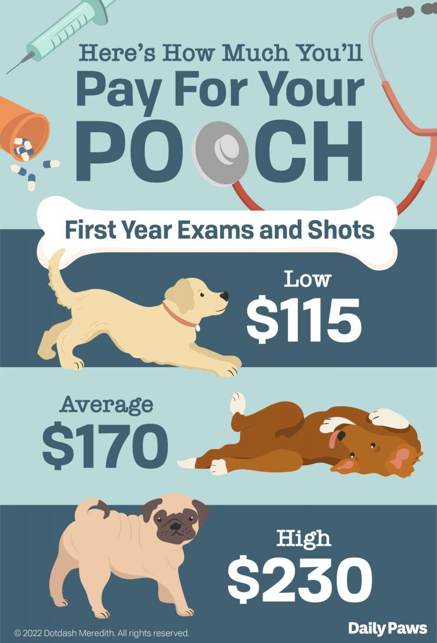 Dog Vaccinations Cost: What You'Ll Pay For Core Shots, Boosters