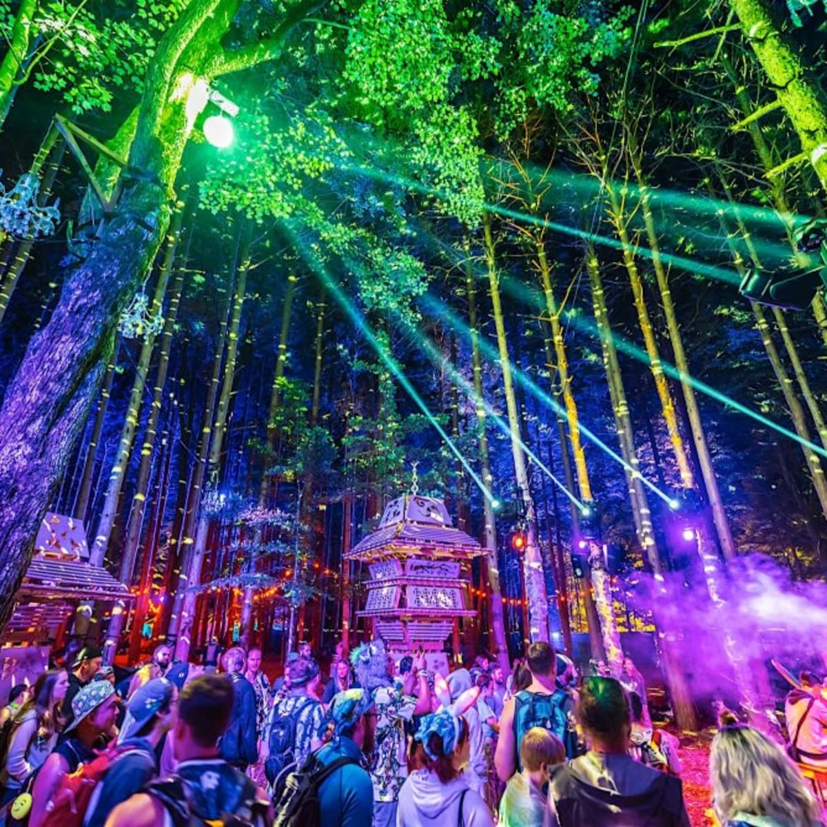 Electric Forest Cuts Programming Down To One Weekend In 2019 - Edm.Com -  The Latest Electronic Dance Music News, Reviews & Artists