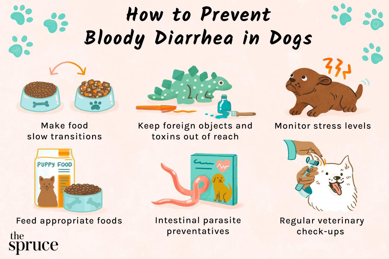 Bloody Diarrhea In Dogs