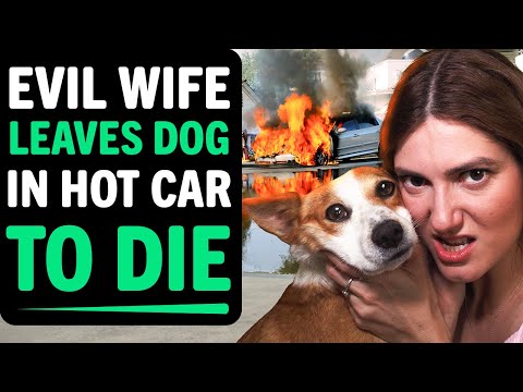 EVIL WIFE Leaves DOG In HOT CAR to DIE! , What Happens Next Is Shocking!