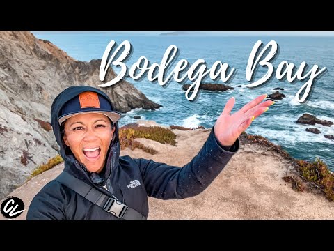 Top things to do in BODEGA BAY!